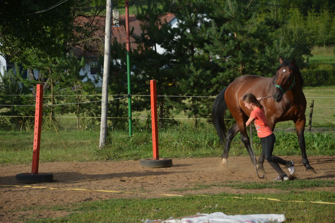 Koňské tábory