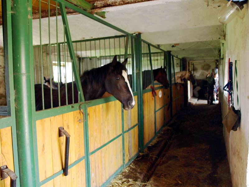 Ustájení
